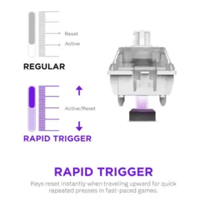 image 2025 02 26 163927278