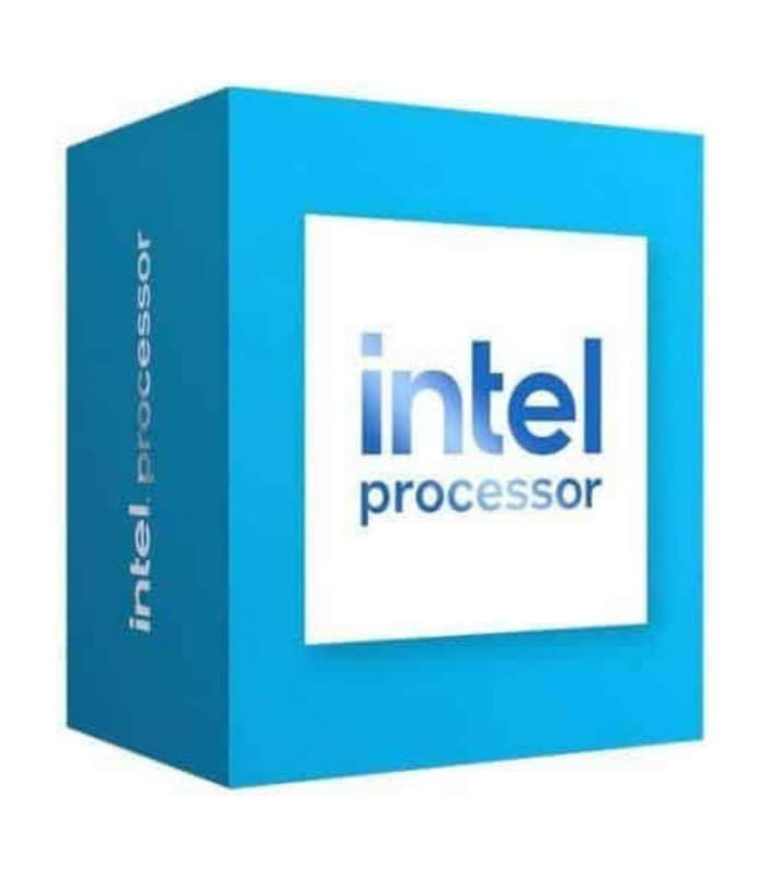 Intel Processor 300 Dual-Core 3.9GHz