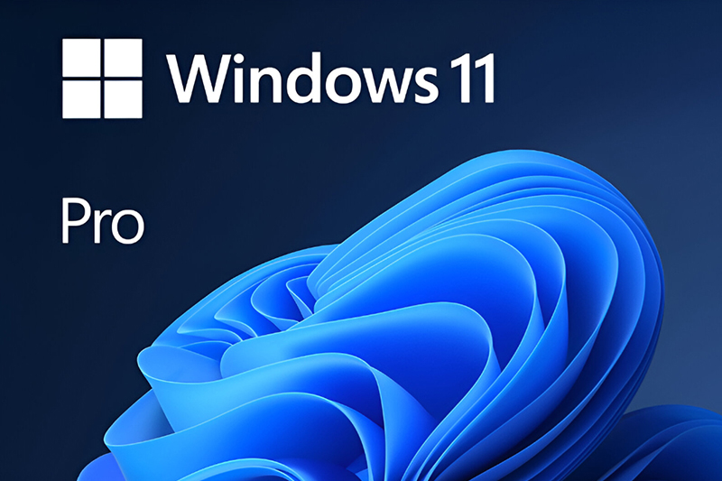 Windows 11 Pro logo
