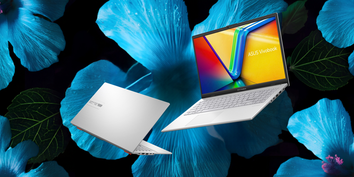 ASUS Vivobook Go 15 Silver profile