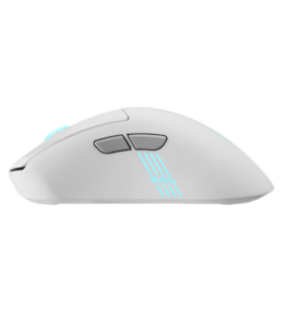 asus uk 2 2