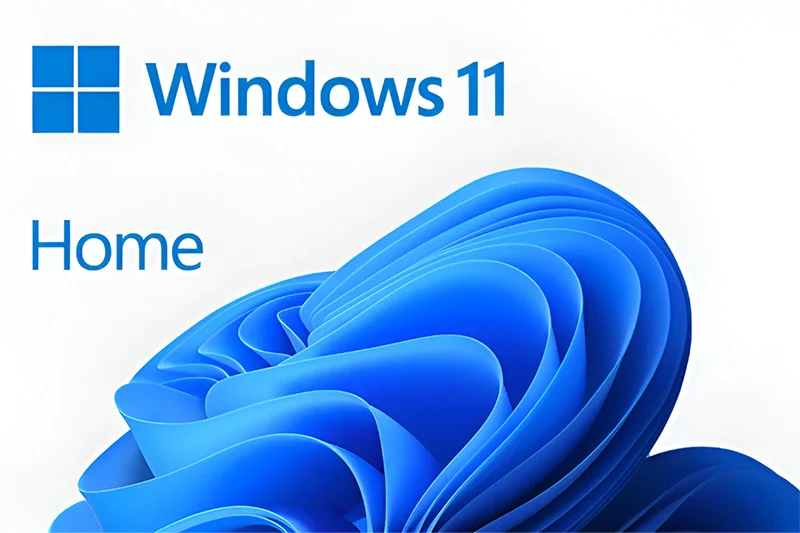 Windows 11 Pro logo