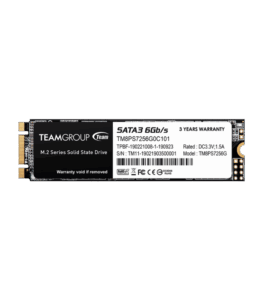 Team Group MS30 256GB M.2 SATA III solid state drive