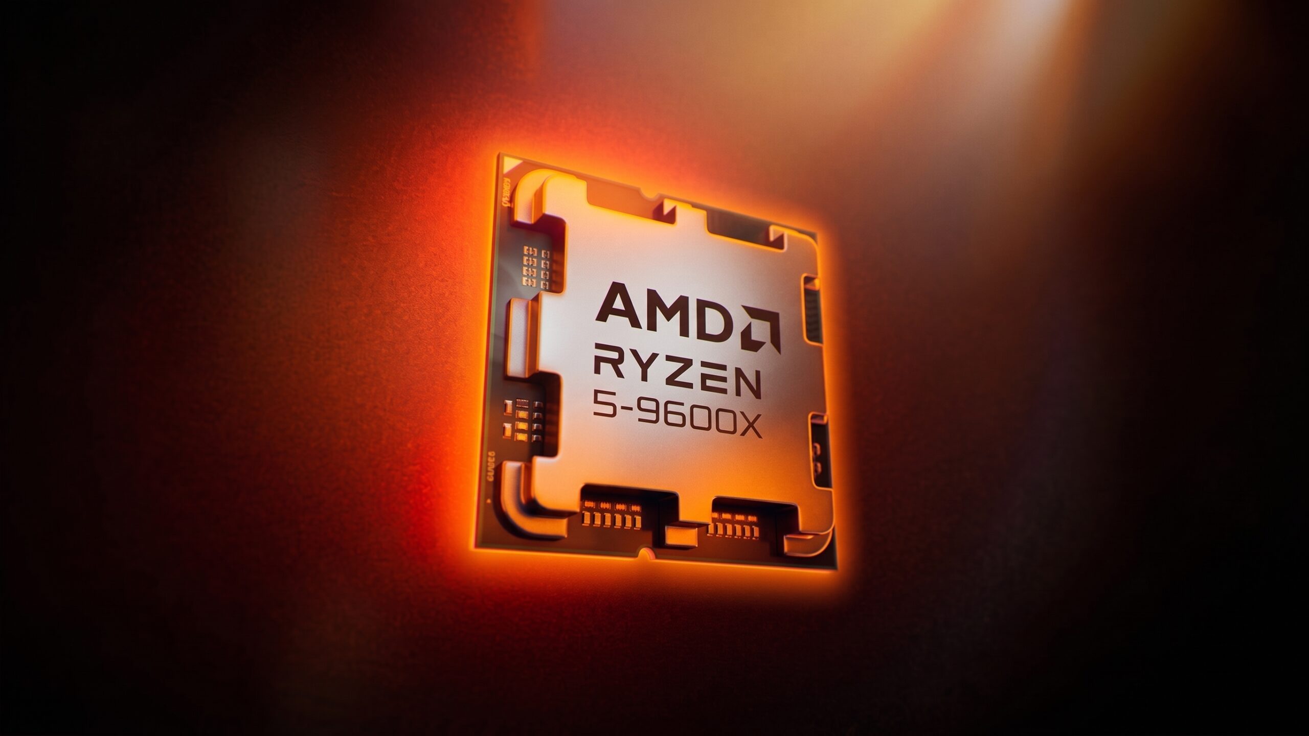 AMD Ryzen 5 9600X processor